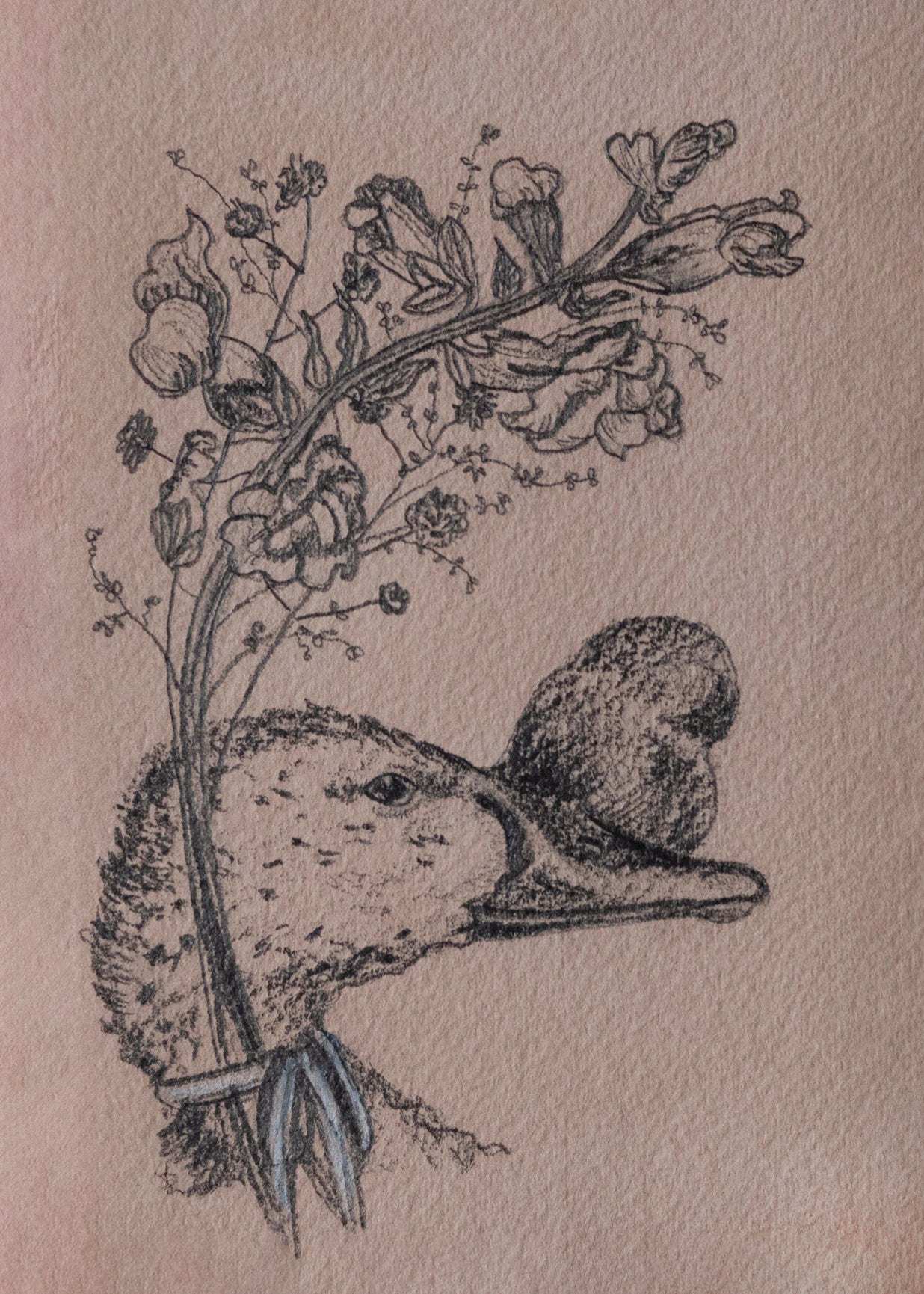 Feathers and Fleurs