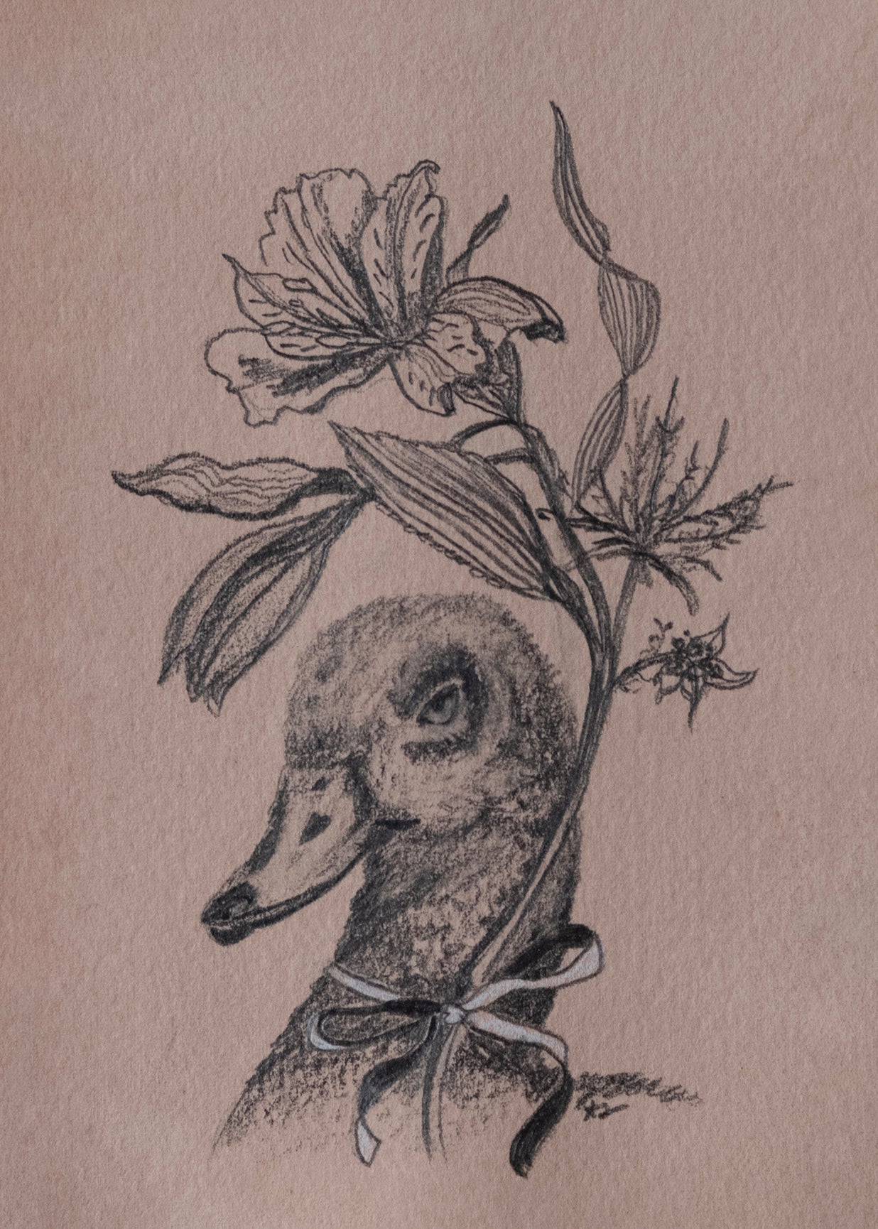 Feathers and Fleurs