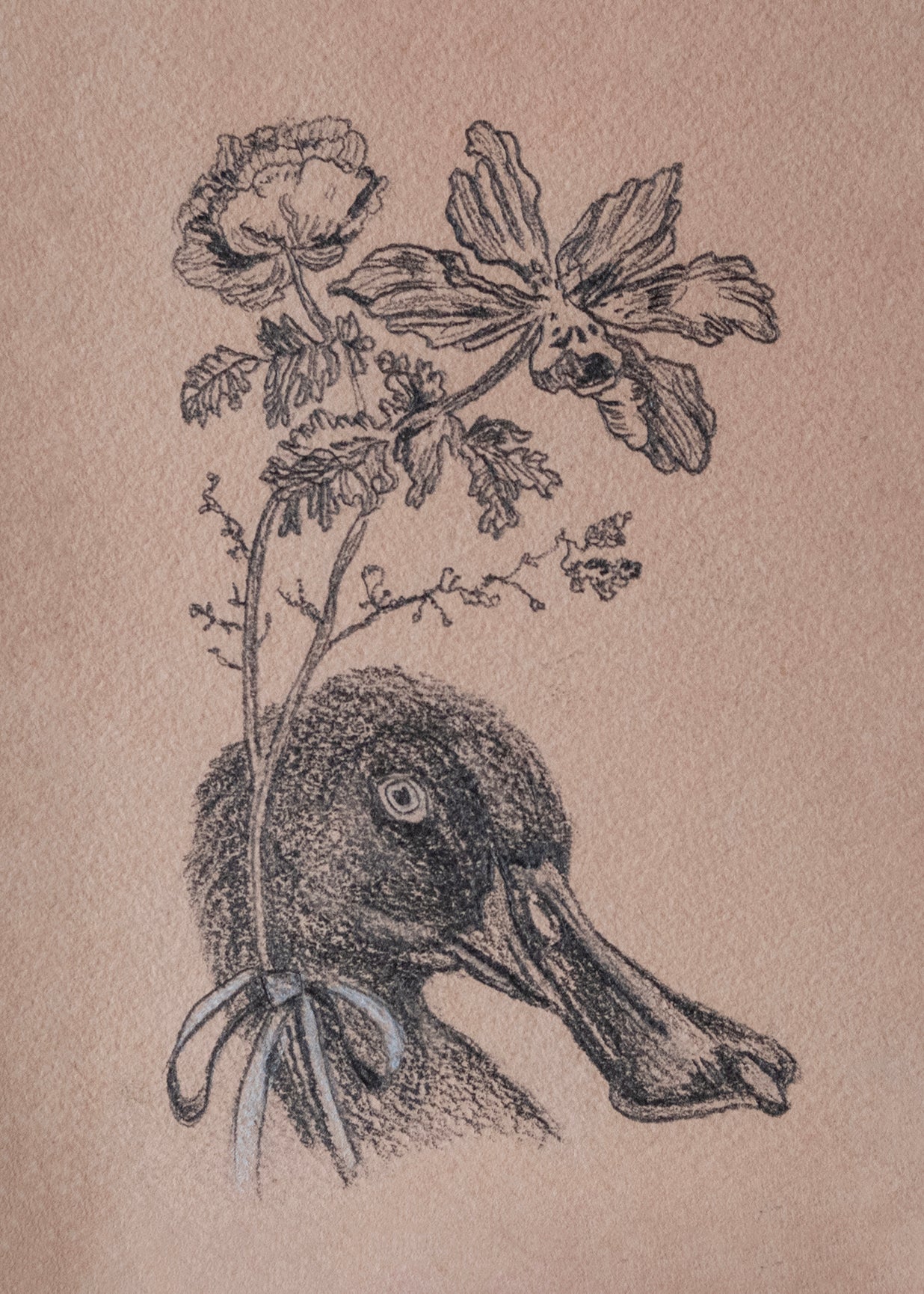 Feathers and Fleurs