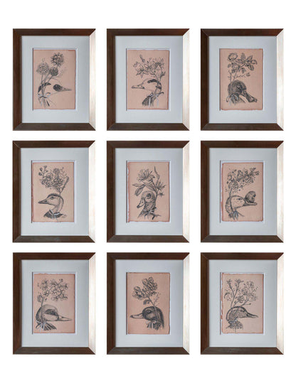 Feathers and Fleurs