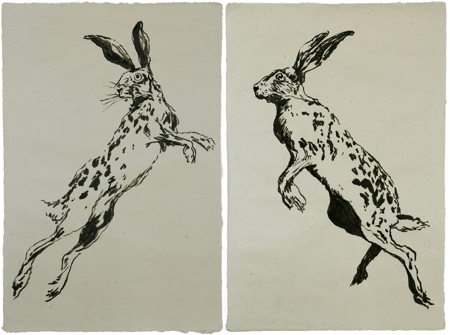 Becoming Eros No. 002 Diptych