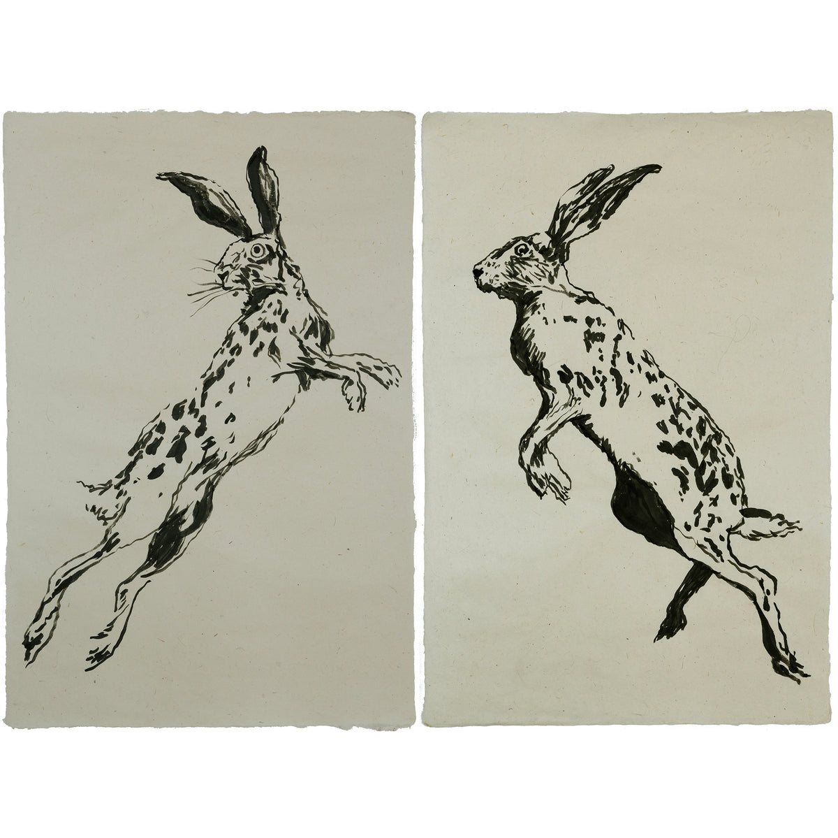 Becoming Eros No. 002 Diptych