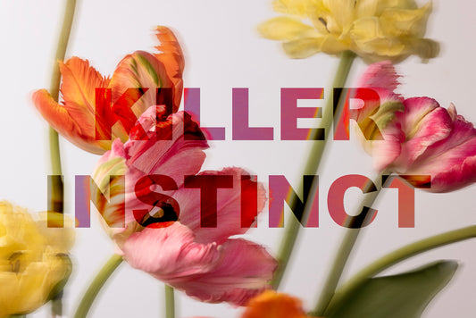 Killer Instinct