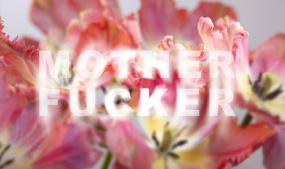 Mother Fucker