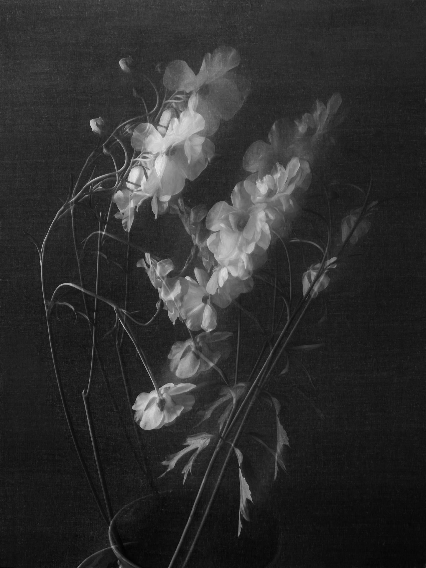 Duchamp