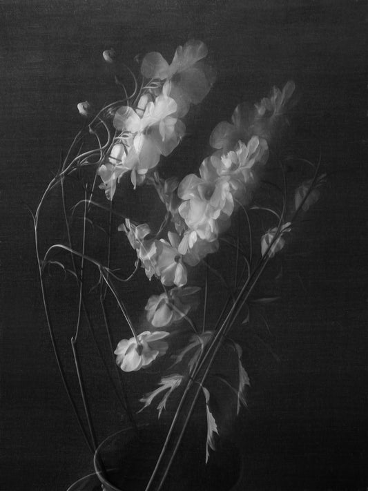 Duchamp