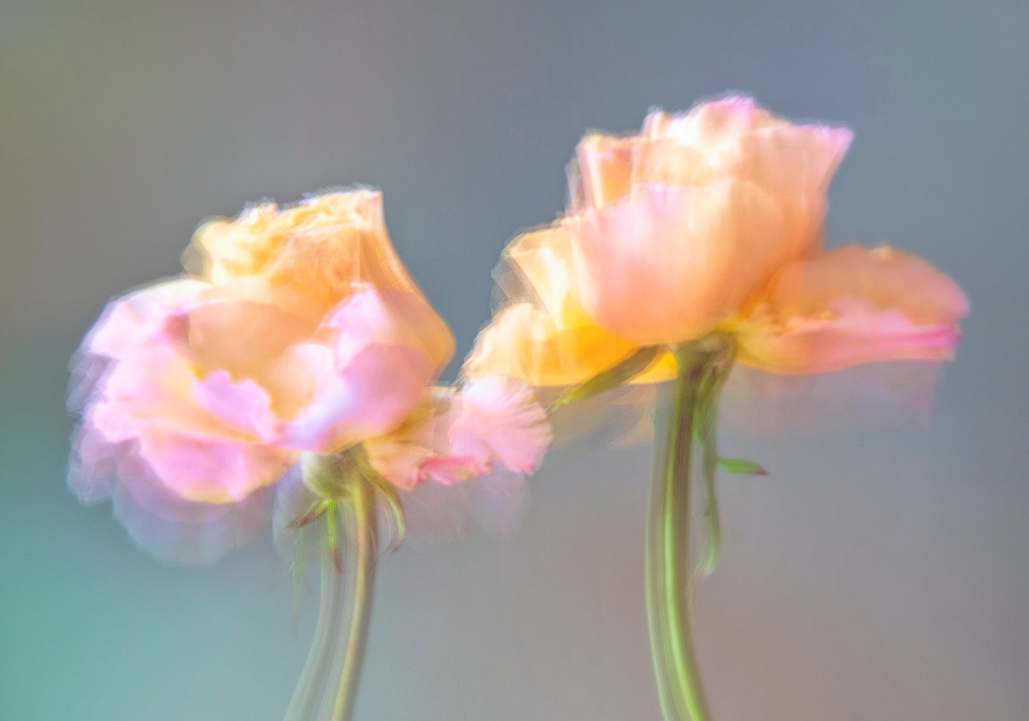 Echoes of An Exhale