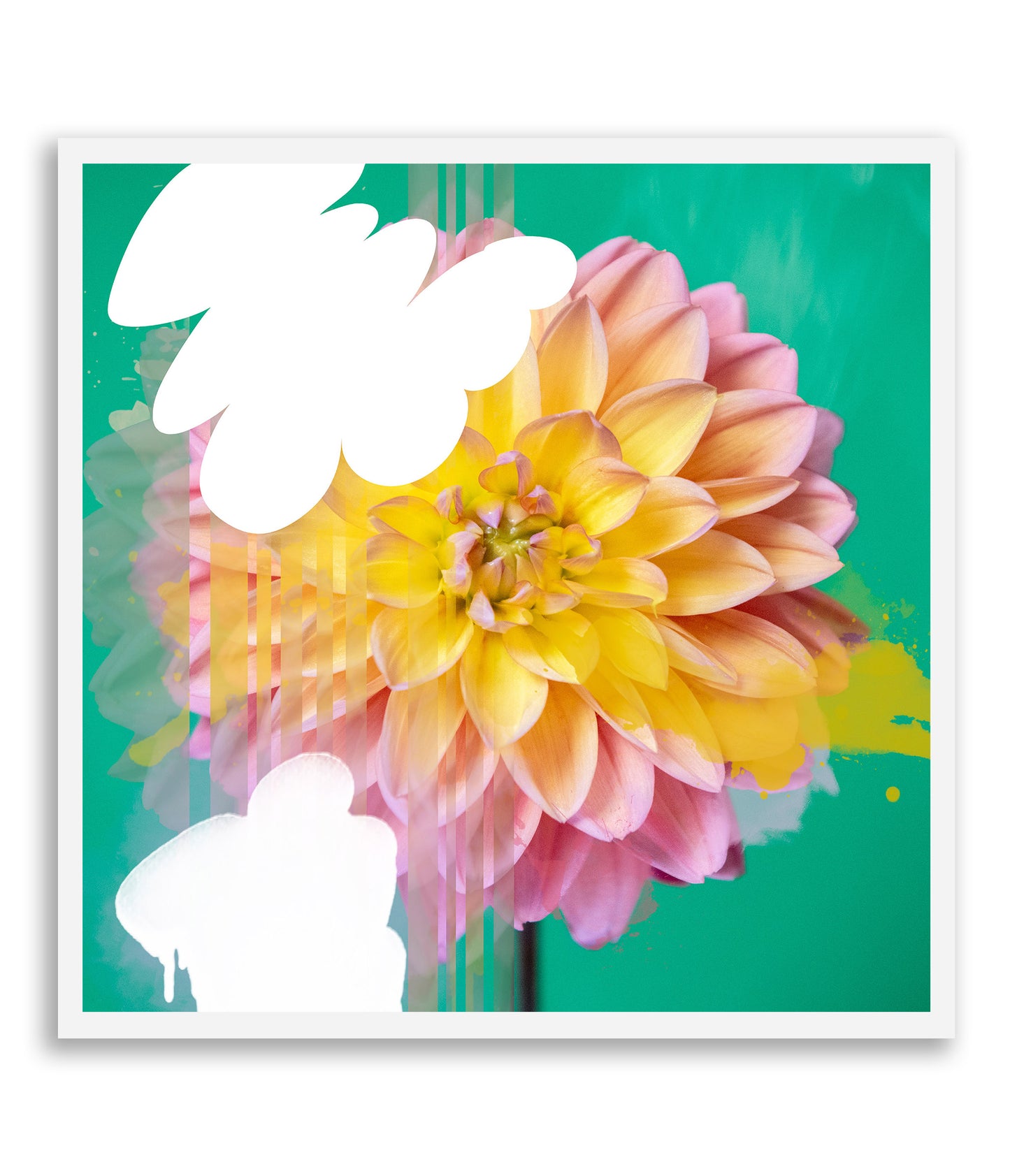 Nature Reconstructed