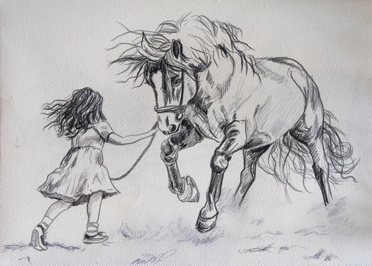 Of Horse Hair