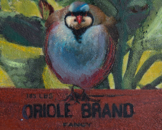 Oriole Brand