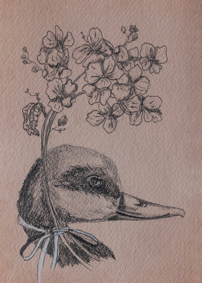 Feathers and Fleurs