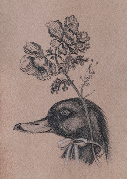 Feathers and Fleurs
