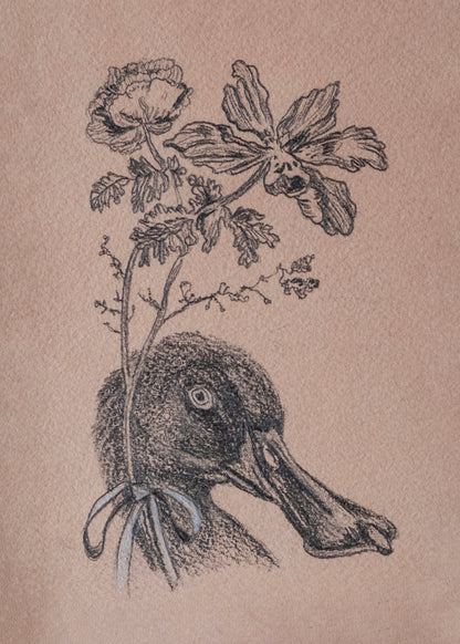 Feathers and Fleurs