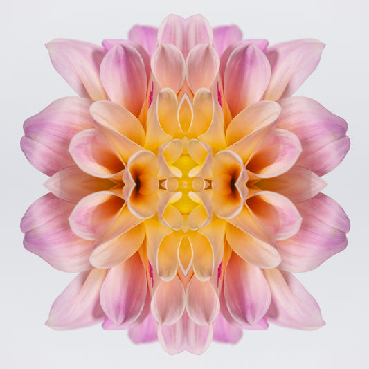 Astral Bloom
