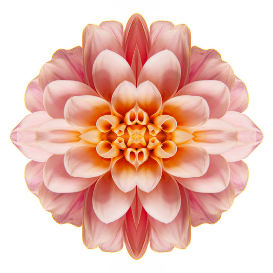 Celestial Elegance