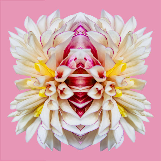 Galactic Petals