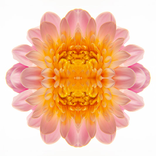 Jewel of the Cosmos