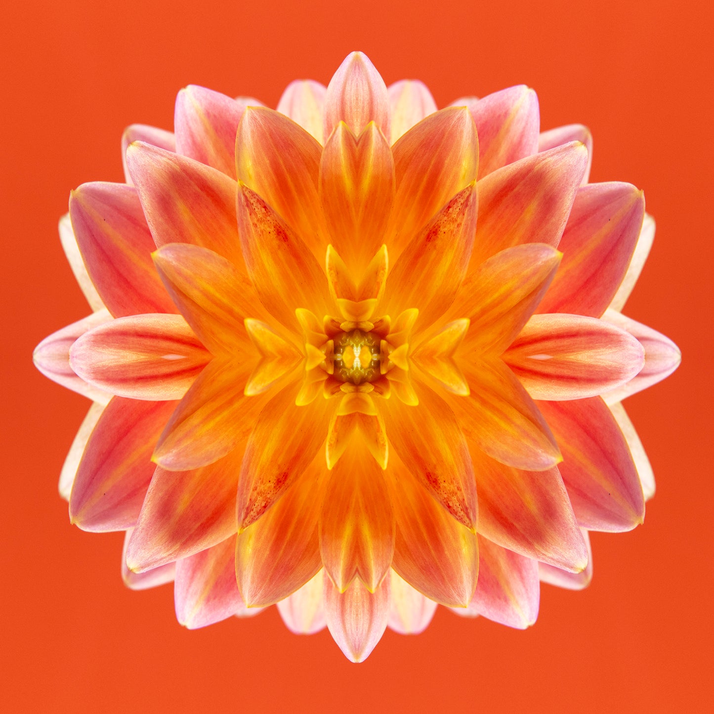 Luminous Jewel