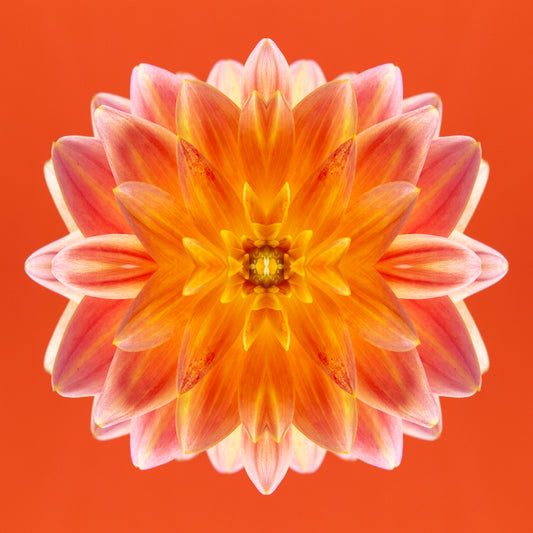 Luminous Jewel