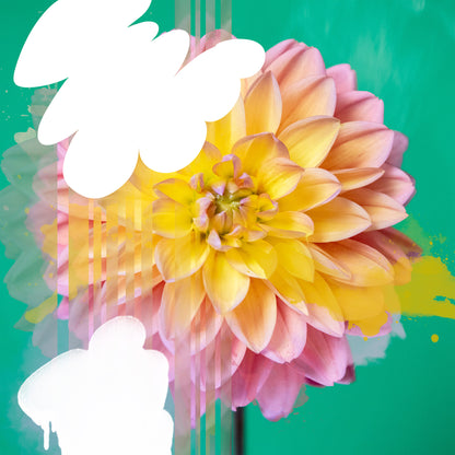 Nature Reconstructed