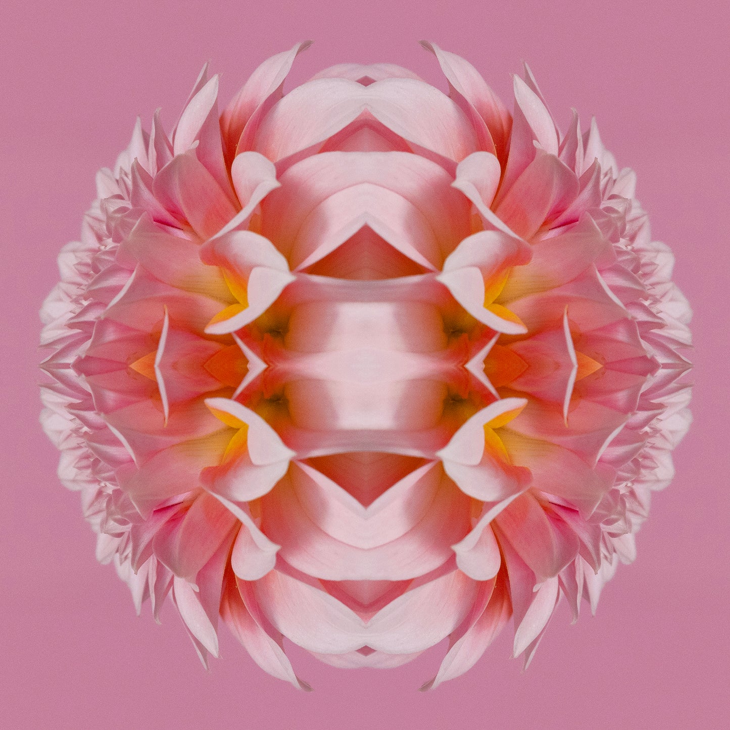Nebula Blossom