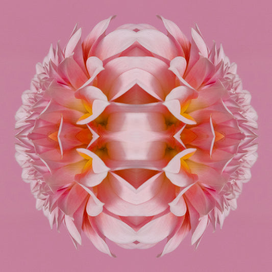 Nebula Blossom