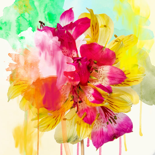 Petals and Paint
