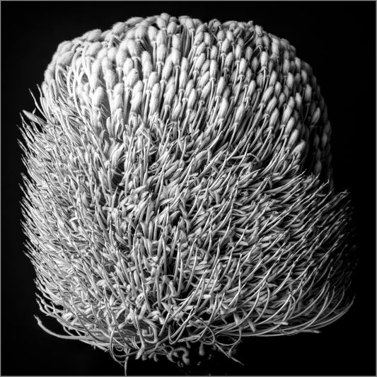 Textured Alchemy