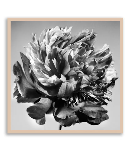 Unvarnished Elegance